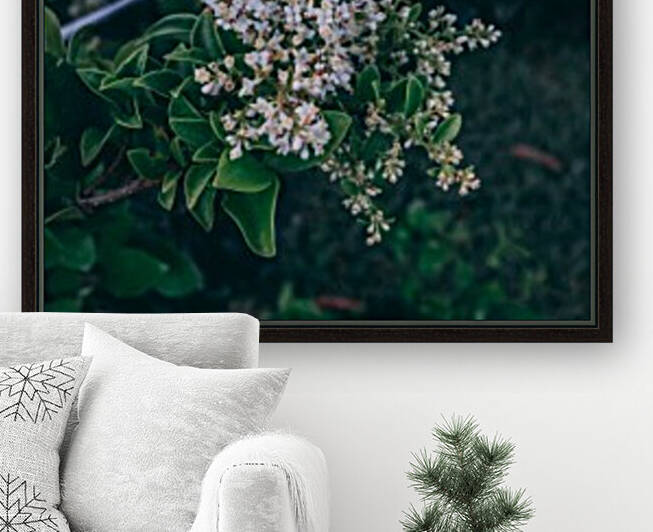 Peak of White by Stormy Galleries