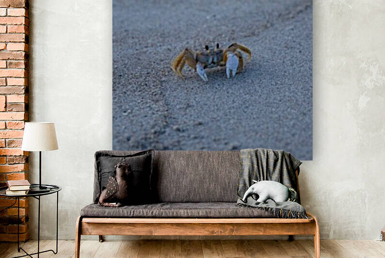 Dont Be Crabby by Stormy Galleries