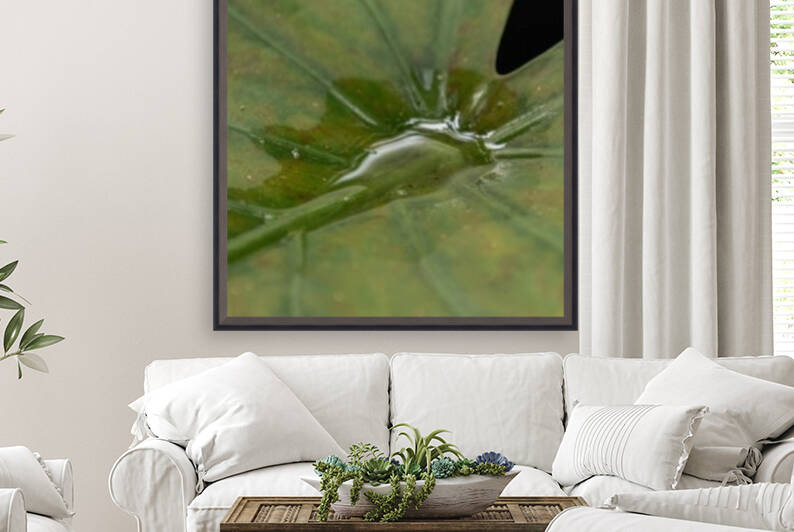 Aspen by Stormy Galleries