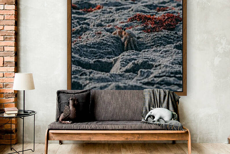 Crabby Critter by Stormy Galleries
