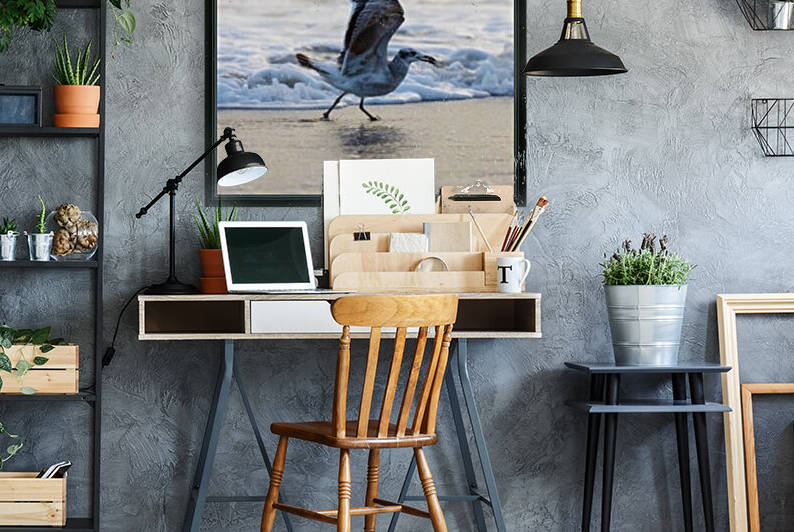 Seagull by Stormy Galleries