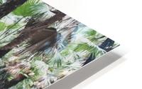 Elder Wood HD Metal print