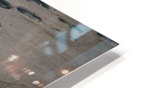 Leave Only Footprints HD Metal print