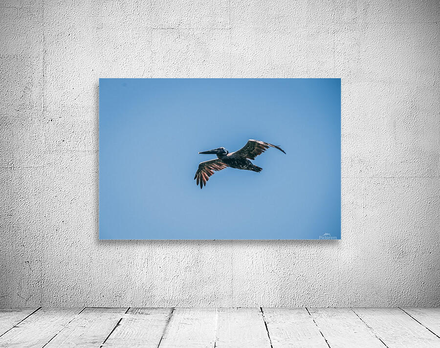 In Flight Wall Preview