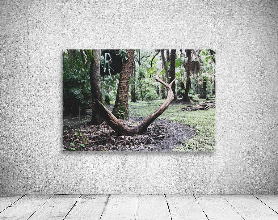Elder Wood Wall Preview