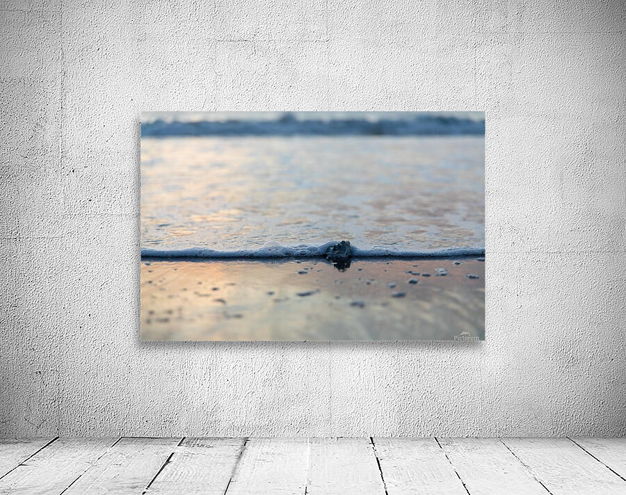 The Waves Will Come Wall Preview