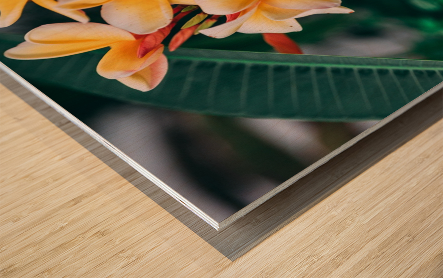 Aloha Oe Wood print