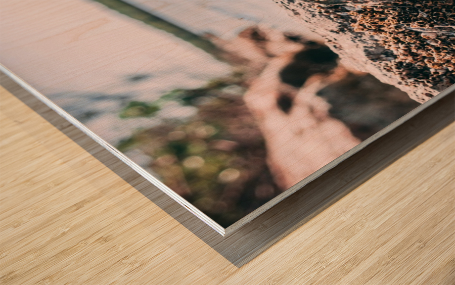 Serenity Wood print