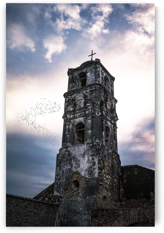 24x16Trinidad Church Aviary proofed by Kevin Wenning