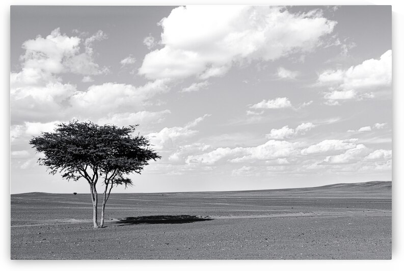 Erg Chebbi Argan BW by Kevin Wenning