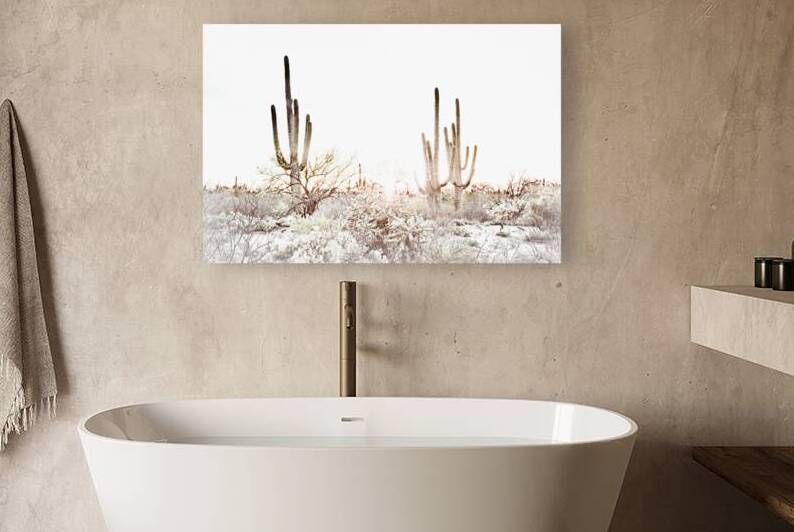 16x24 20160315KW LN Saguaro Park Sunset by Kevin Wenning