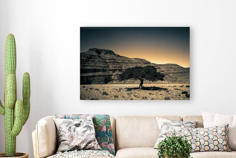16x24 20170104 KW LN Lone Argan Tree Sunset by Kevin Wenning