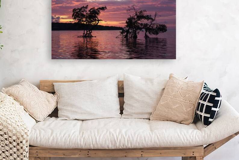 20150315KW LN Roatan Mangroves Sunset by Kevin Wenning