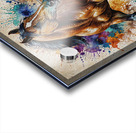 my hourse Acrylic print