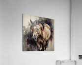 hourse2 Acrylic Print