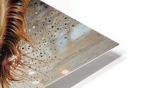 hourse5 HD Metal print