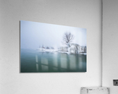 DSC 4929 Edit Edit Acrylic Print