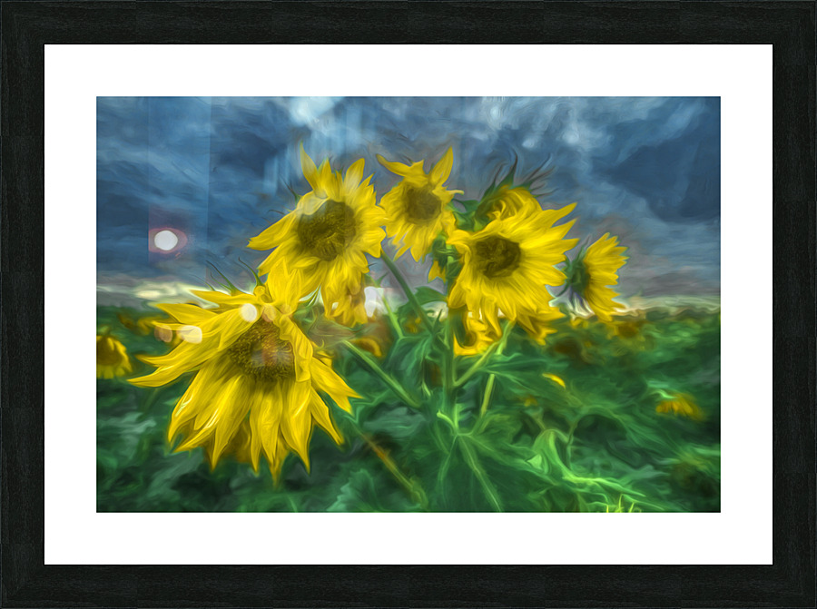 DSC 7749 AuroraHDR edit Edit Edit Edit 2 Edit Picture Frame print