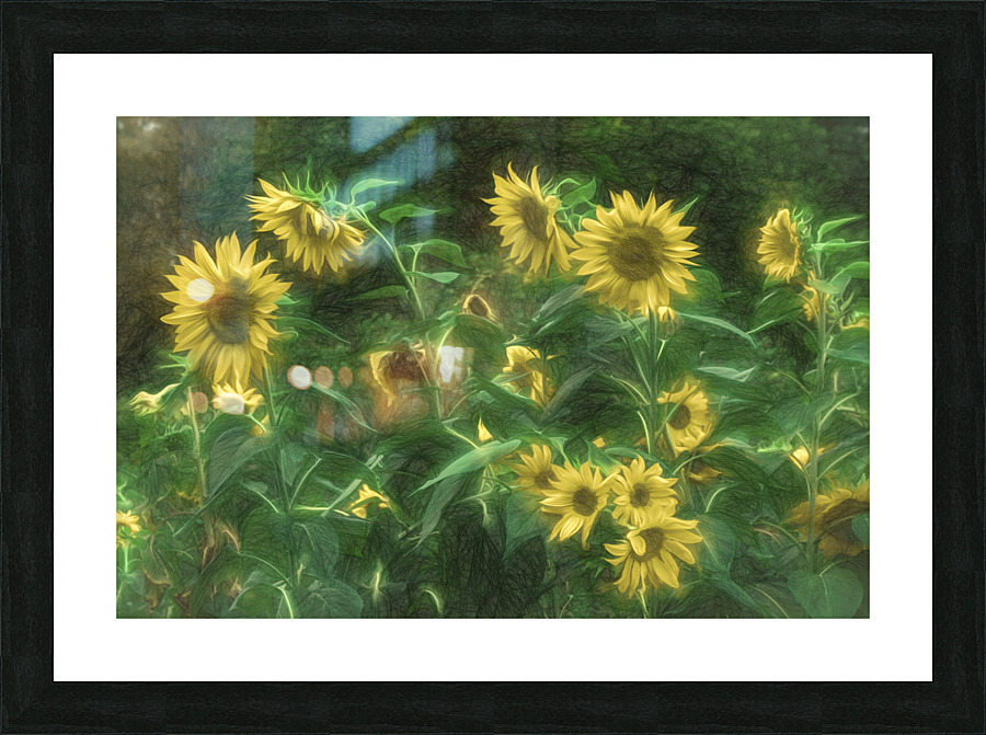 DSC 0177 Edit Edit AuroraHDR edit Edit Picture Frame print