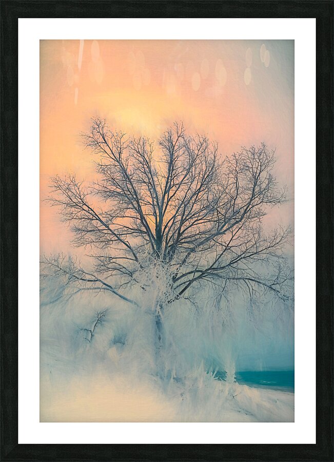 The  Wanderer Picture Frame print