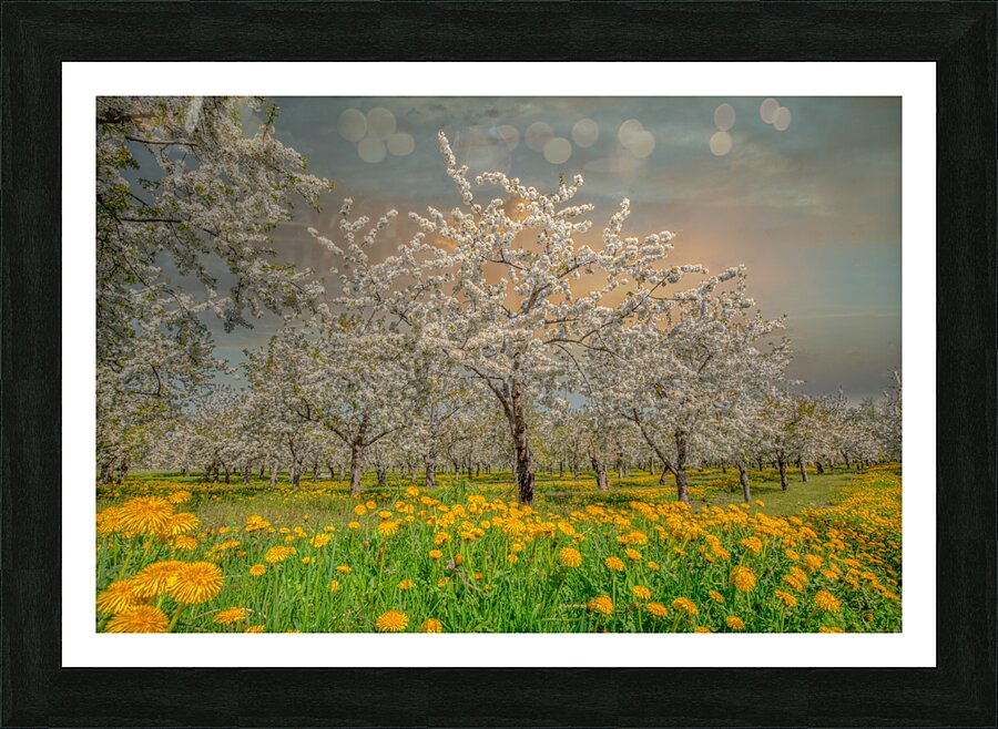 Peninsula Magic Picture Frame print