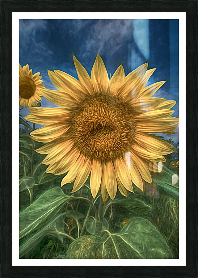  Good Morning Beautiful Picture Frame print