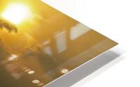 Liquid Gold HD Metal print