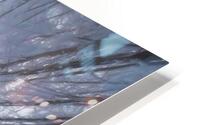 Looking Up HD Metal print