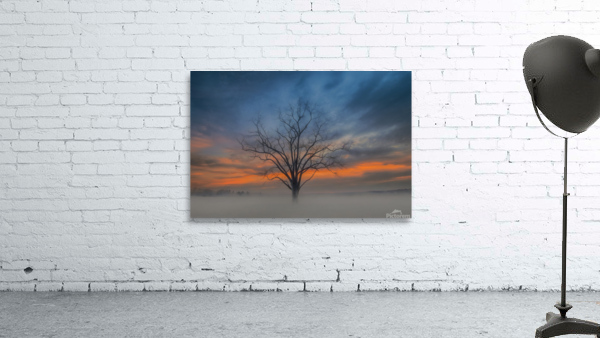 Sunset Ribbon Wall Preview
