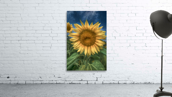  Good Morning Beautiful Wall Preview