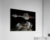Astero Mine Acrylic Print