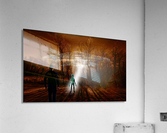 Dark Encounter Acrylic Print