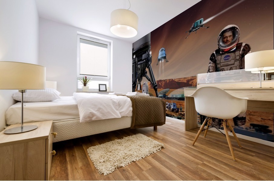 Mars Project 3 Mural print