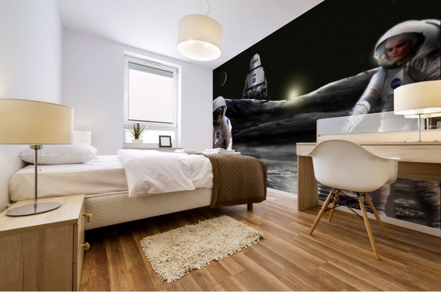Shackleton Crater Mural print