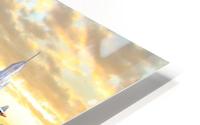 Metro Transport HD Metal print