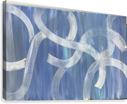 tangled at sea  Canvas Print
