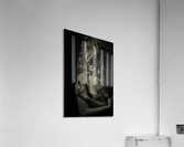 Melyna Acrylic Print