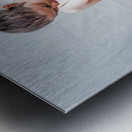  Douceur Timide Metal print