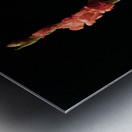  Enlacee Impression metal