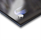 CR5 8111 Acrylic print