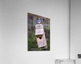 CR5 5699 Acrylic Print