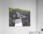 CR5 8076 Acrylic Print