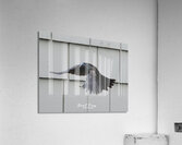 CommonGrackle Acrylic Print