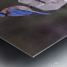 CR5 5699 Metal print