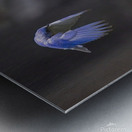 CR5 8111 Metal print