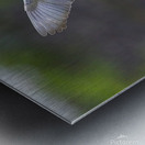 CR5 8076 Metal print