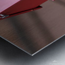 CardinalAtFeederLanding Metal print