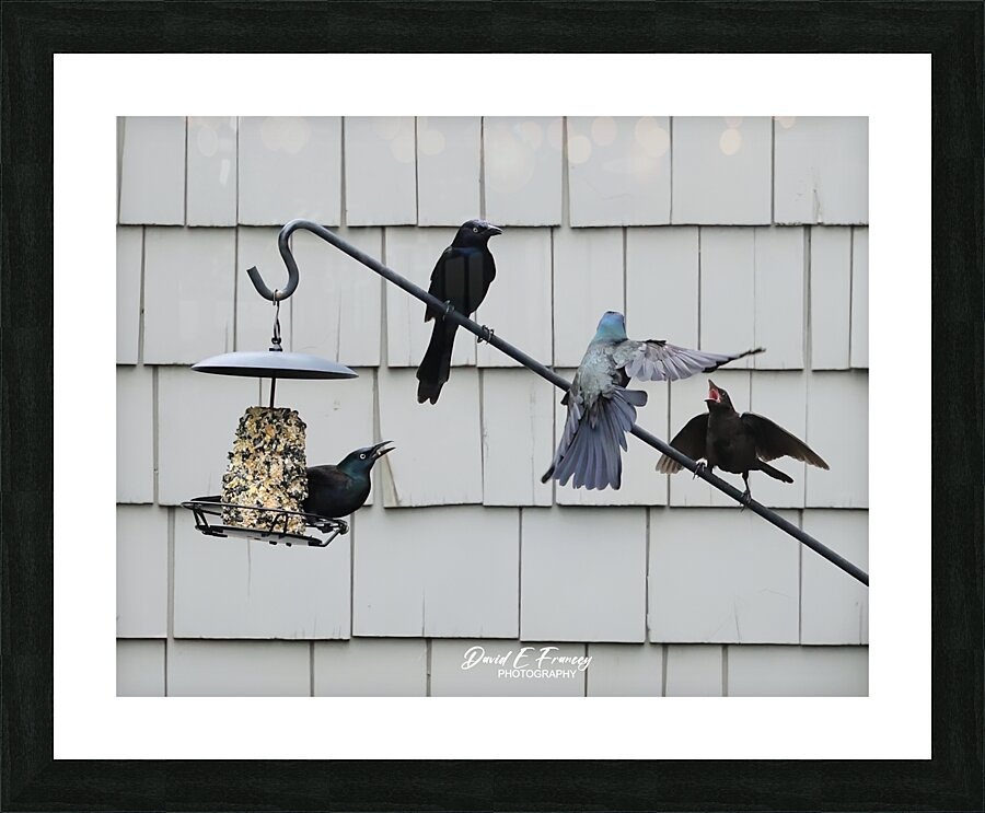  Fine Art print