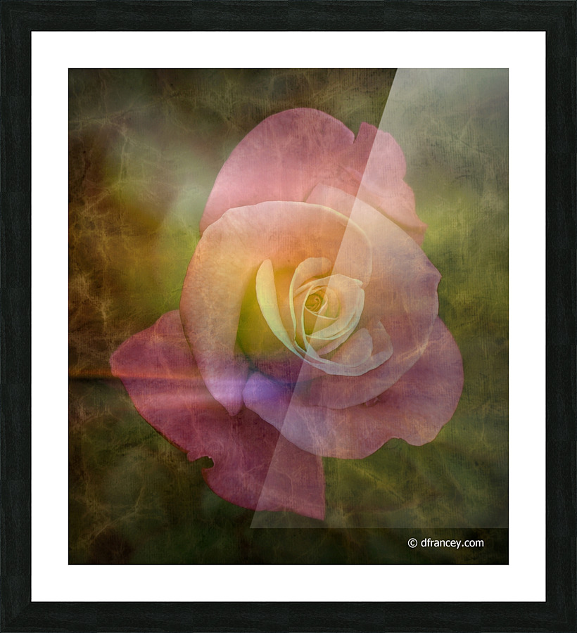  Fine Art print