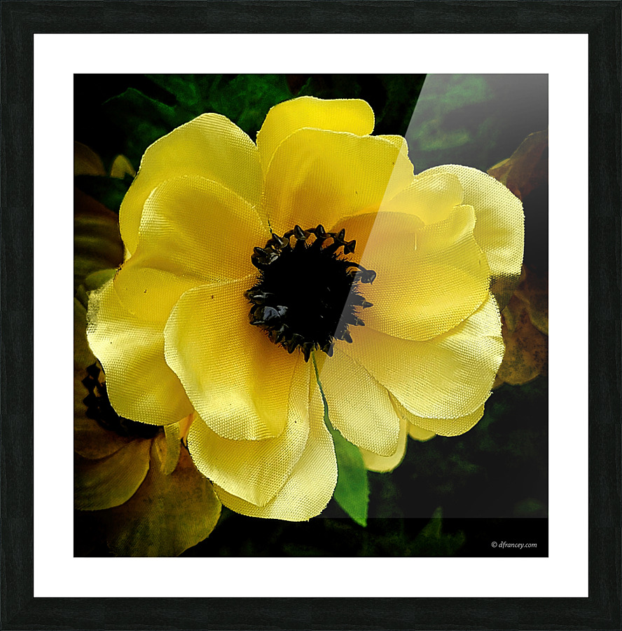  Fine Art print